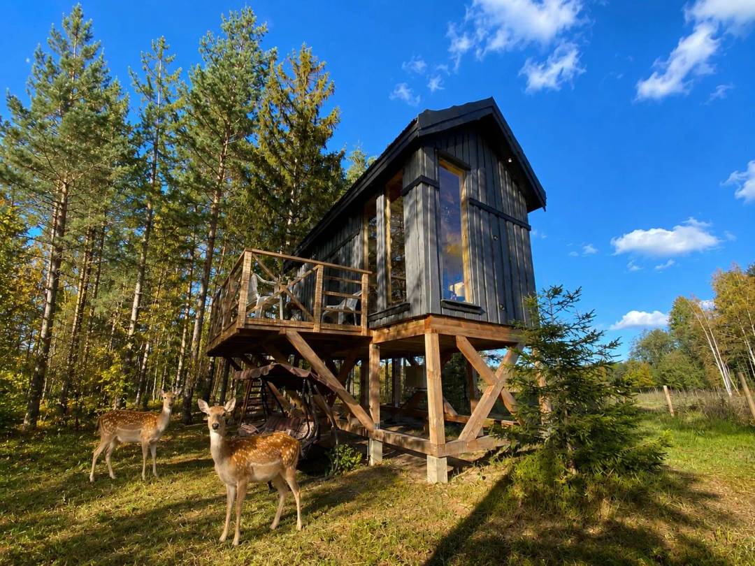 Viking Treehouse — озеро и олений парк · доступны джакузи и сауна