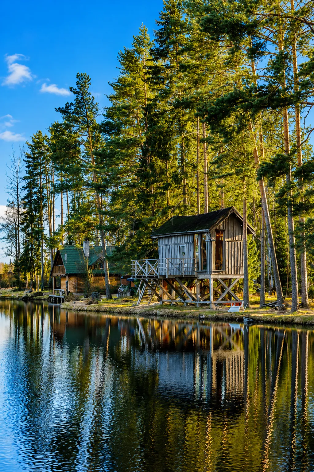 Dragon Treehouse — burbuļvanna, pirts, privāts ezers un briežu parks — 2