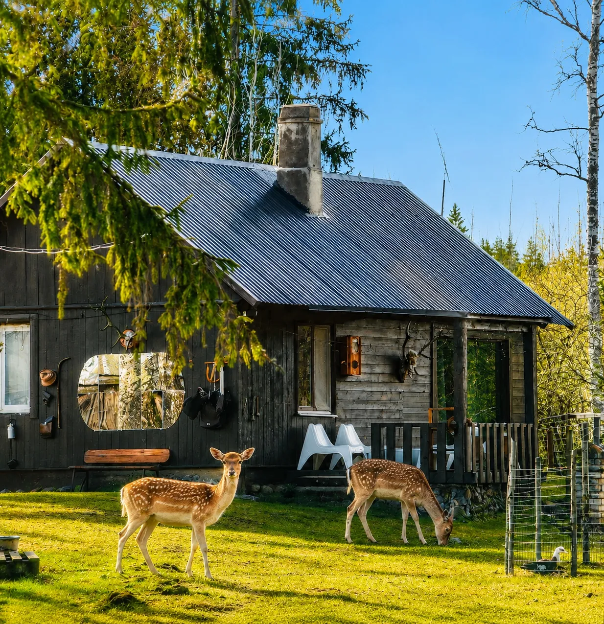 Lake Deer Park Retreat — burbuļvanna un pirts